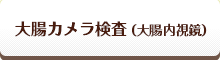 大腸カメラ検査(大腸内視鏡)